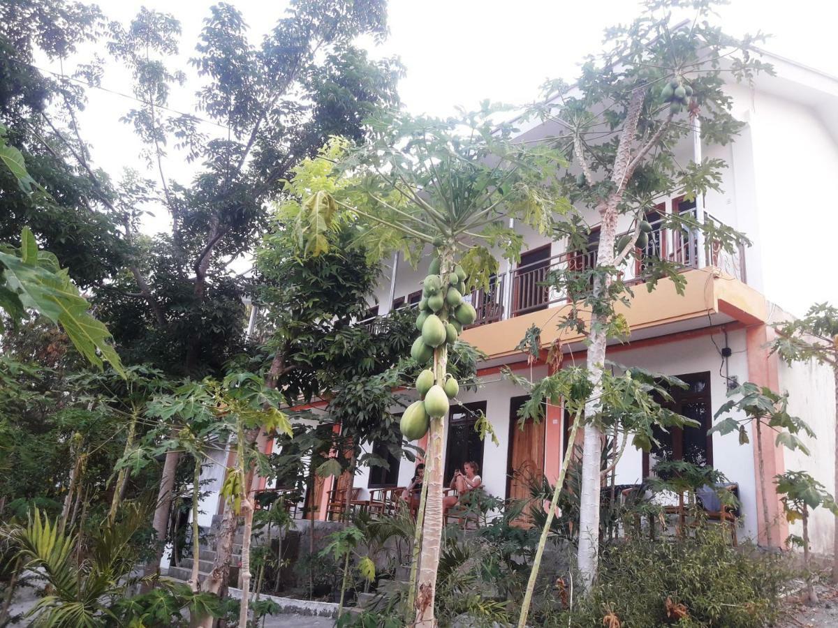 The Teuz B&B Labuan Bajo Exteriér fotografie